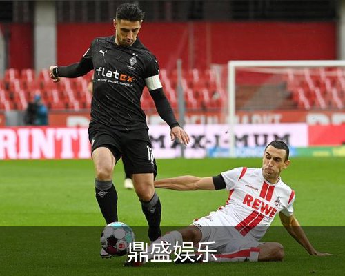 鼎盛娱乐官方网站-鼎盛游戏体育的故事 